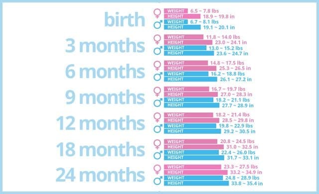 What’s the Average Baby Weight Growth by Month? - Healthy Magazine